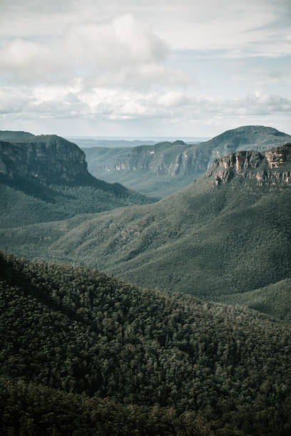 vue imprenable sur la montagne depuis le leap lookout de govett - sydney australia australia new south wales lookout tower photos et images de collection