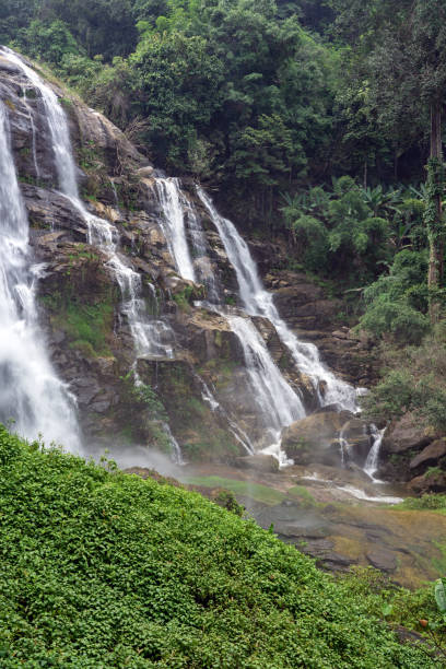 istock Green plants and trees at Vachiratharn waterfall in Thailand 1218493500
