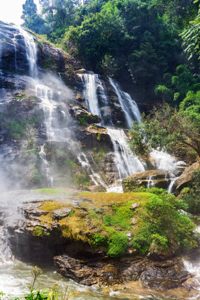 istock Green and yellow moss on wet rock on Vachiratharn waterfall 1218493517