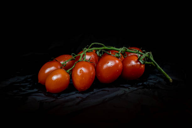 淡い赤トマトは、暗い背景に水滴で隔離されています。フロントビュー - branch plant part ストックフォトと画像