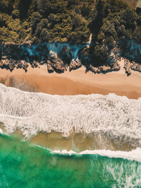 istock Drone shot of waves breaking on Australian beach and coastline 1218496202