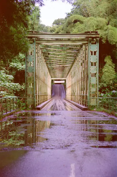 Green iron bridge on wet asphalt road plunges into the forest