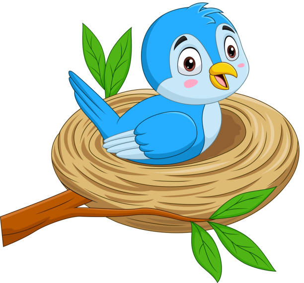2,798 Bird Nest Tree Illustrations & Clip Art - iStock | Empty bird nest  tree, Bird nest tree branch