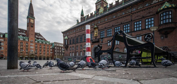 Empty Copenhagen Town Hall square during the coronavirus pandemic Easter Sunday with empty Copenhagen Town Hall square during the coronavirus pandemic.
Only the pigeons roam town hall square copenhagen stock pictures, royalty-free photos & images