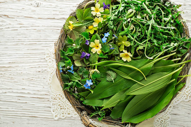 istock Healthy spring plants- food ingredients 1218504254