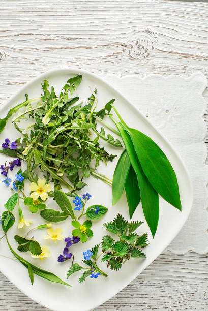 istock Healthy spring plants- food ingredients 1218504268