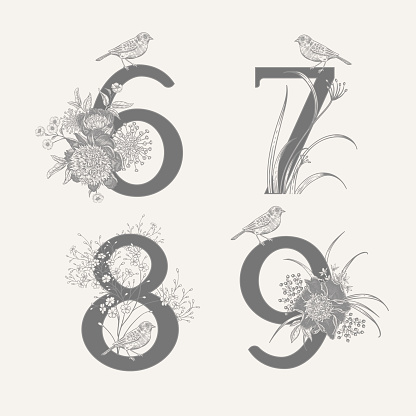 Numeral 6 7 8 9, flowers peonies, decorative herbs and birds isolated set. Vector decoration. Black and white. Vintage illustration. Floral pattern for greetings, wedding invitations, anniversary card