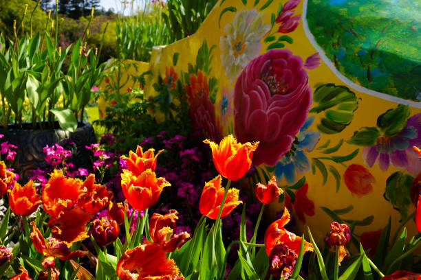 istock Shilin Official Residence's tulips are very beautiful 1218506821