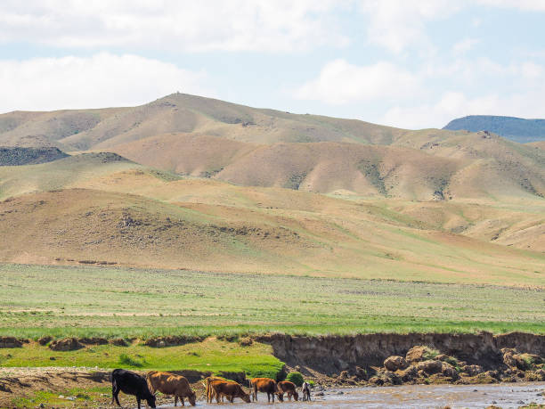 istock Rural Landscape of Mongolia 1218511491