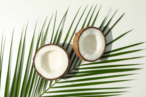 istock Coconut and palm branch on white background, top view 1218515013