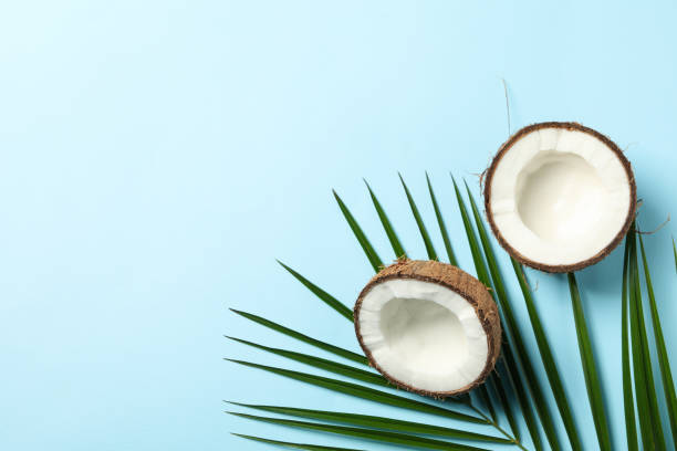 istock Coconut and palm branch on blue background, top view 1218515061