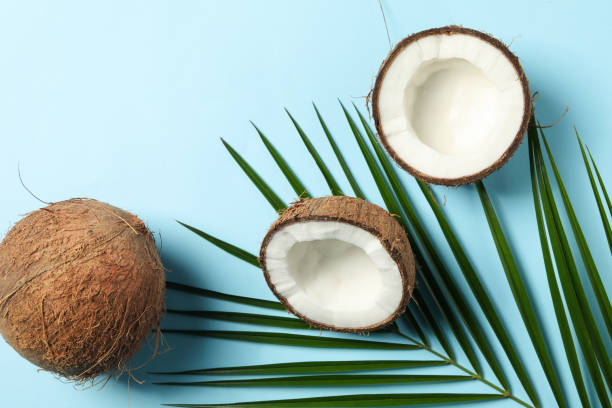 istock Coconut and palm branch on blue background, top view 1218515293