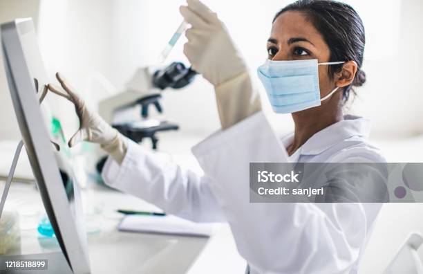 Scientist Working In The Laboratory Stock Photo - Download Image Now - Laboratory, Research, Healthcare And Medicine