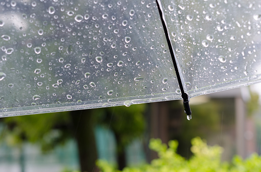 Transparent umbrella with rain drops.