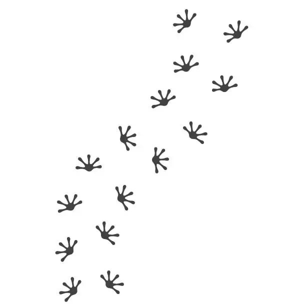 Vector illustration of gecko footprint vector illustration design