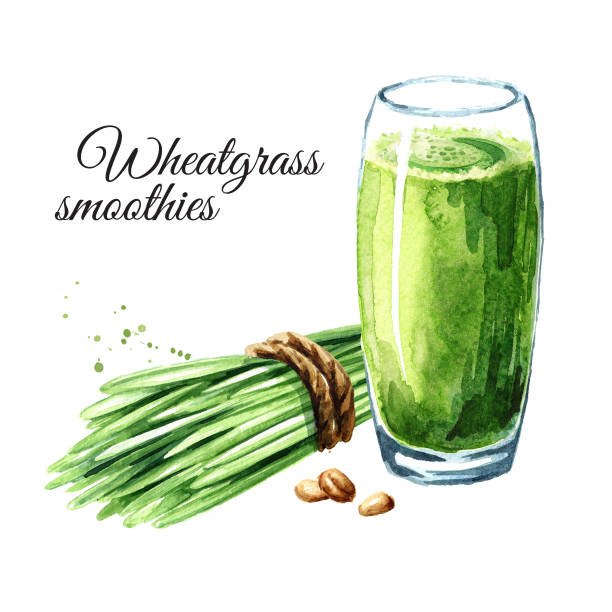健康のためのウィートグラスジュース、緑のスムージー。白い背景に分離された水彩画の手描きのイラスト - wheatgrass点のイラスト素材／クリップアート素材／マンガ素材／アイコン素材