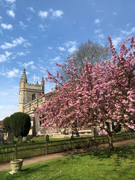 istock Cherry Blossom And The Church, Beaconsfield 1218524765