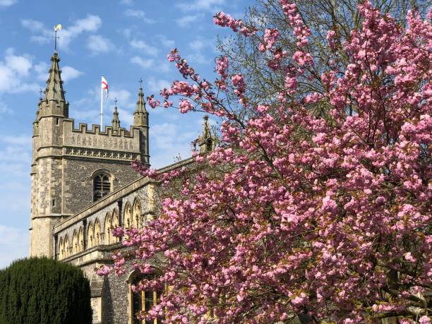 istock Cherry Blossom And The Church, Beaconsfield 1218524865