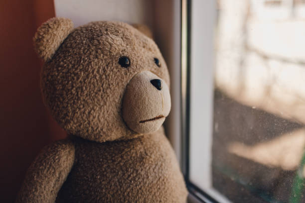 istock bear near the window, stay home in quarantine 1218524980
