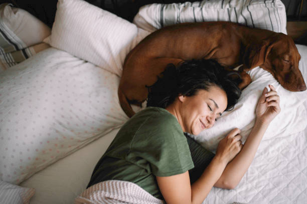 istock Girl sleeping with her dog. 1218525908
