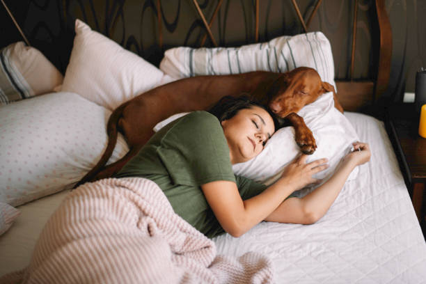 그녀의 개와 함께 자고있는 소녀. - pets bedroom animal mammal 뉴스 사진 이미지
