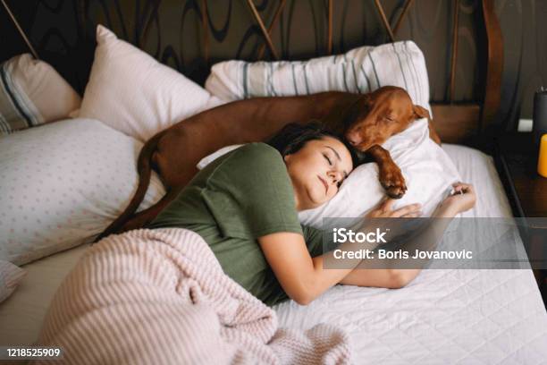Meisje Dat Met Haar Hond Slaapt Stockfoto en meer beelden van Slapen - Slapen, Hond, Bed