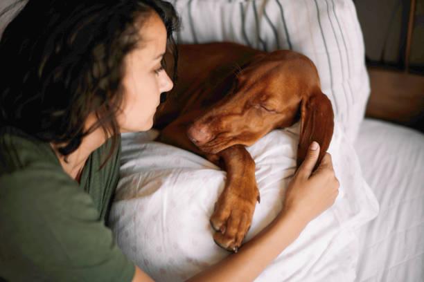 istock Girl sleeping with her dog. 1218525945