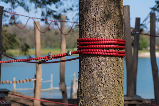 red rope around a tree in an outdoor climbing and adventure park