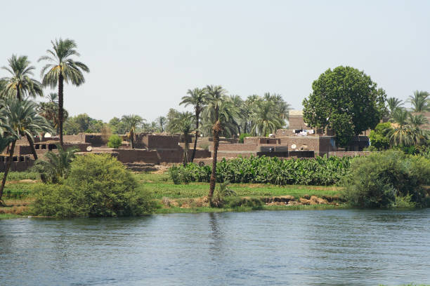 istock Nile and views of the River 1218528053