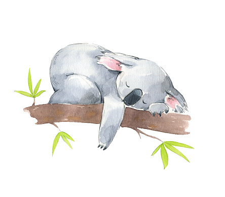 Ilustración de Lindo Koala Durmiendo En Un Árbol Ilustración De Acuarela y  más Vectores Libres de Derechos de Koala - iStock
