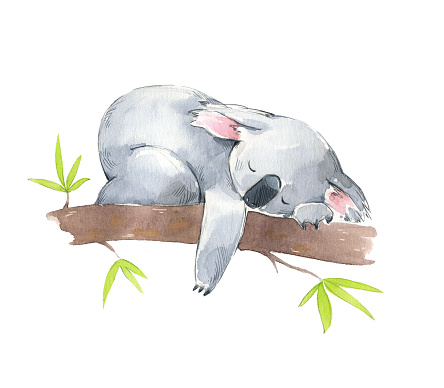 Ilustración de Lindo Koala Durmiendo En Un Árbol Ilustración De Acuarela y más Vectores Libres de Derechos de Koala - iStock Ilustración de Lindo Koala Durmiendo En Un Árbol Ilustración De Acuarela y más Vectores Libres de Derechos de Koala - iStock