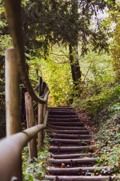 istock Marked path to the Venoge waterfall in La Sarraz (Canton of Vaud, Switzerland) 1218530455