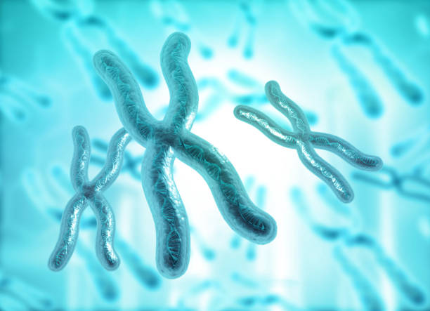 istock Chromosome on medical background 1218531999