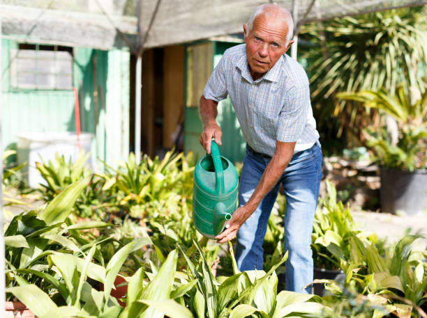 istock Senior man watering flowers 1218532154