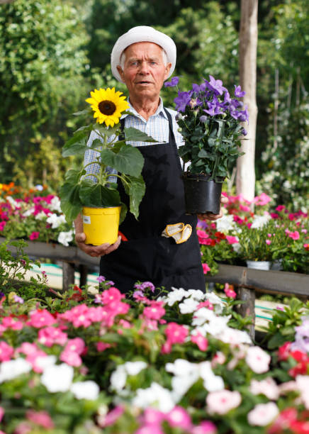 istock Older man in greenhouse 1218532181
