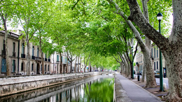 quai de la fontaine canal in nîmes under the plane trees (occitanie, france) - nimes photos et images de collection