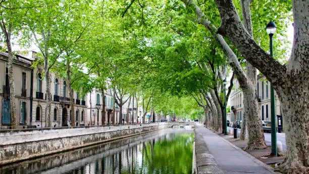 Quai de la Fontaine canal in Nîmes under the plane trees