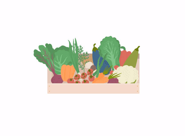 ilustrações, clipart, desenhos animados e ícones de cesta com colheita sazonal. ilustração vetorial brilhante de vegetais coloridos. - asparagus vegetable market basket