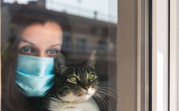 Woman with medical face mask. Woman with medical face mask holding cat and sadly looking out in the window holding her cat. Quarantine during Coronavirus pandemic. pics of a cute muslim outfits stock pictures, royalty-free photos & images