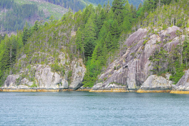istock Trees on the rocks. Vancouver island. British Columbia. 1218541317