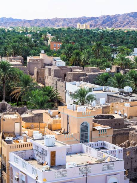 istock View on Nizwa Palm Grove, Oman 1218545853