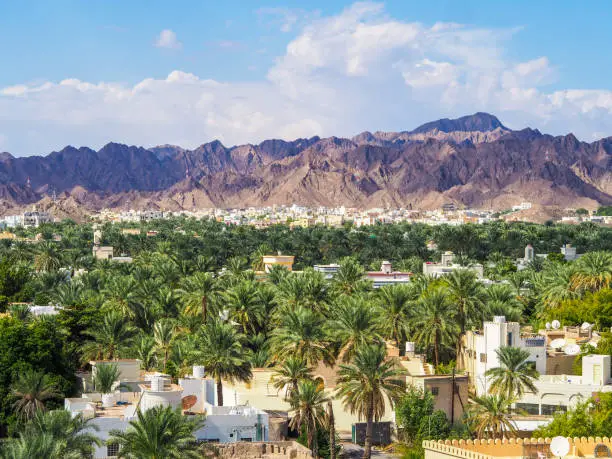 View on Nizwa Palm Grove, Oman