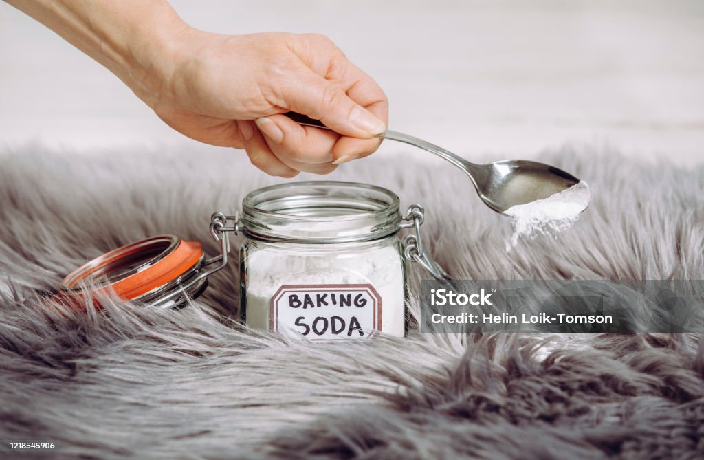 Woman hand pouring baking soda Sodium bicarbonate in long hair fur carpet for cleaning and stain removal. Natural home cleaners concept. Baking Soda Stock Photo