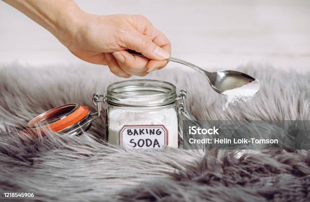 Woman Hand Pouring Baking Soda Sodium Bicarbonate In Long Hair Fur Carpet For Cleaning And Stain Removal Natural Home Cleaners Concept Stock Photo - Download Image Now