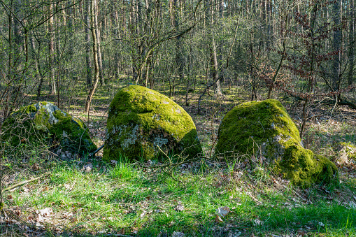 Prehistoric megalith stones along the famous \