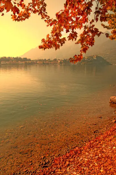 Photo of Como lake beautifull autumn (fall) landscape in Italy. Colorful red leaves and mountains.