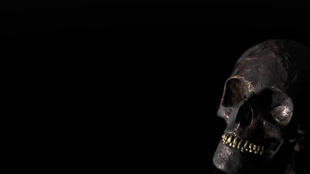 istock Human skull with dark background. Death, horror, anatomy and halloween symbol. 3d rendering, 3d illustration 1218552861