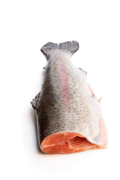 istock Fresh raw headless rainbow trout fish isolated on white 1218553188