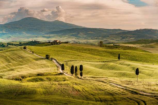 istock Sunny landscape from Val d'Orcia, Tuscany, Italy 1218553481