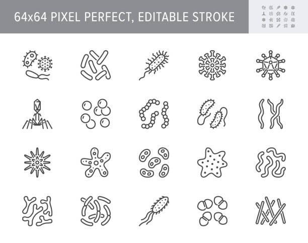 ilustrações, clipart, desenhos animados e ícones de bactérias, vírus, ícones da linha de micróbios. a ilustração vetorial incluiu ícone como microorganismo, germe,, célula, pictograma probiótico para infográfico de microbiologia 64x64 pixel perfect editable stroke - bactéria